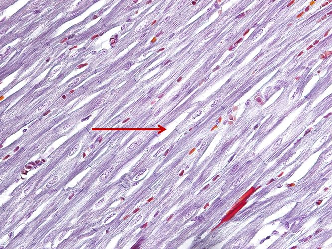 <p>Cấu trúc gì ?</p>