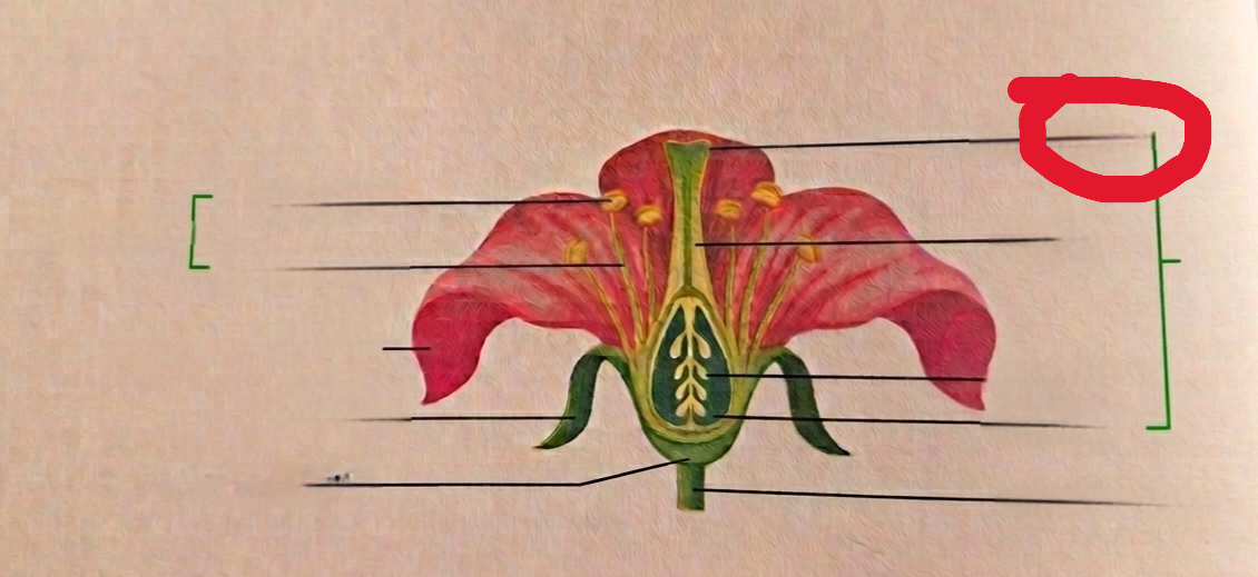 <p>What is this?</p>