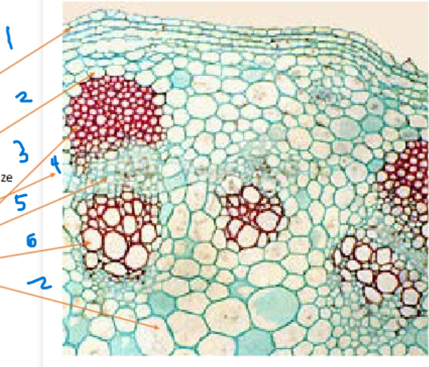 <ol start="3"><li><p>Name 5</p></li><li><p>Name 6</p></li></ol><p></p>