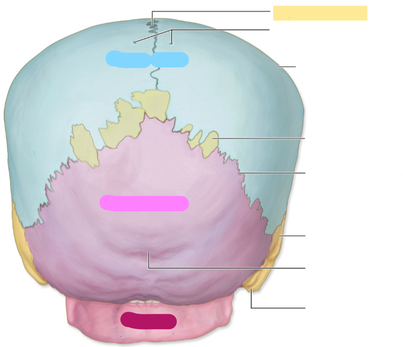 term image