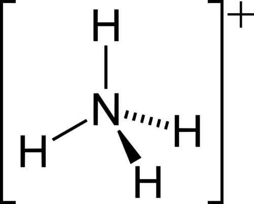 <p><span>Ammonium ion (part of nitrogen cycle)</span></p>