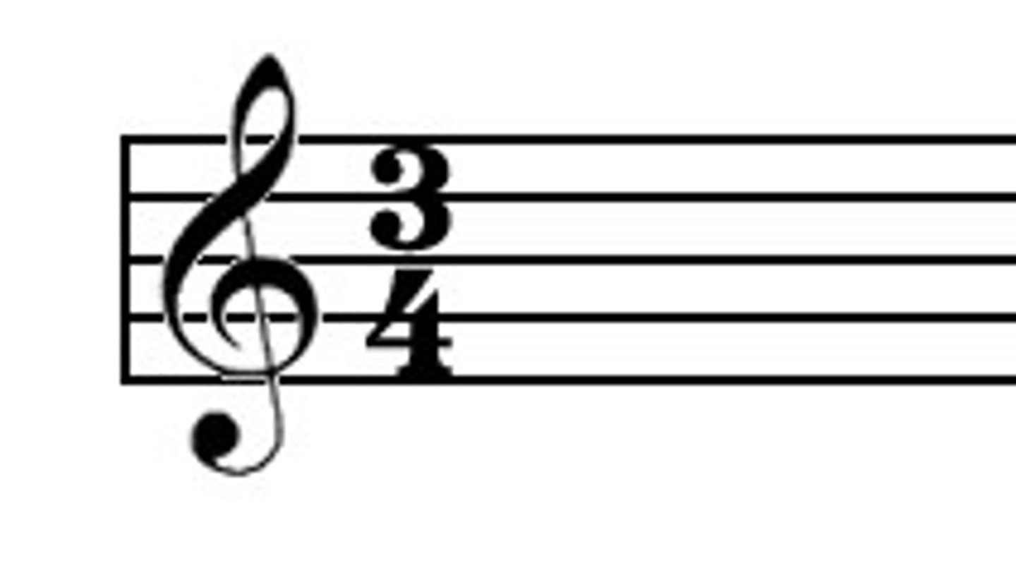 <p>A symbol looking like a fraction indicating the type of meter and the unit of beat</p>