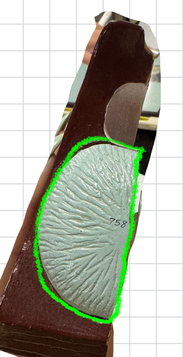 term image