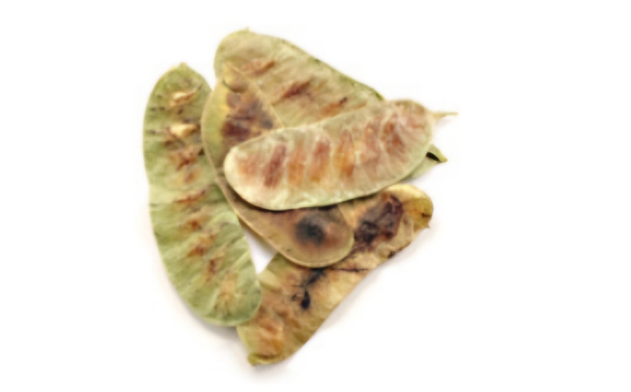 <p>What is this fruit?</p>
