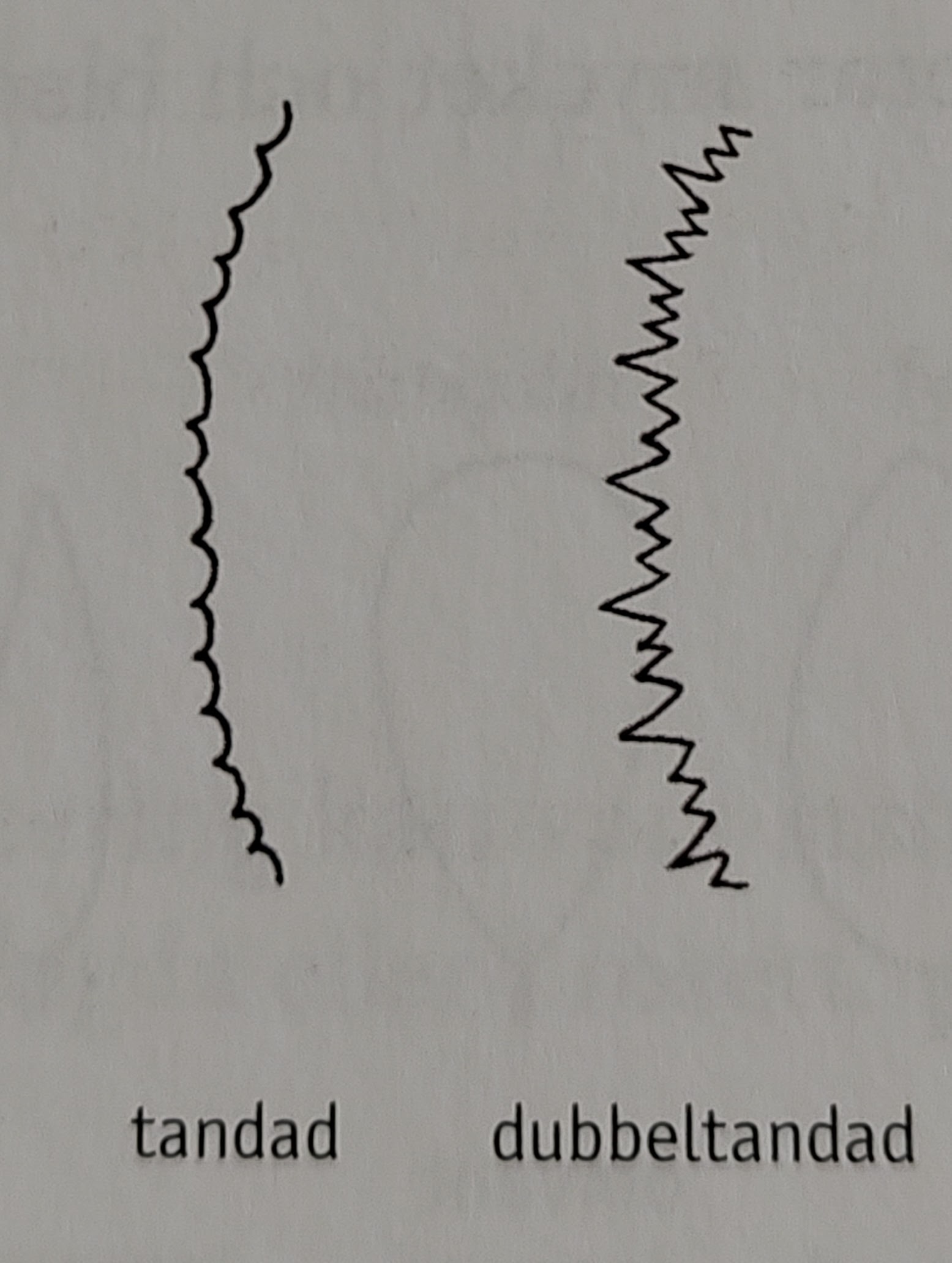 <p></p>