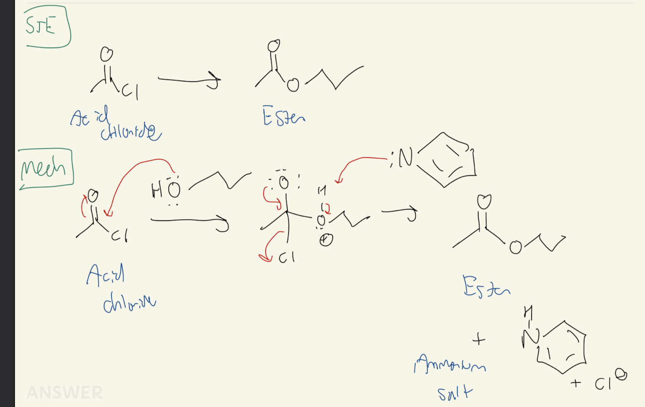 <p><strong>Acid Chloride → Ester</strong></p>