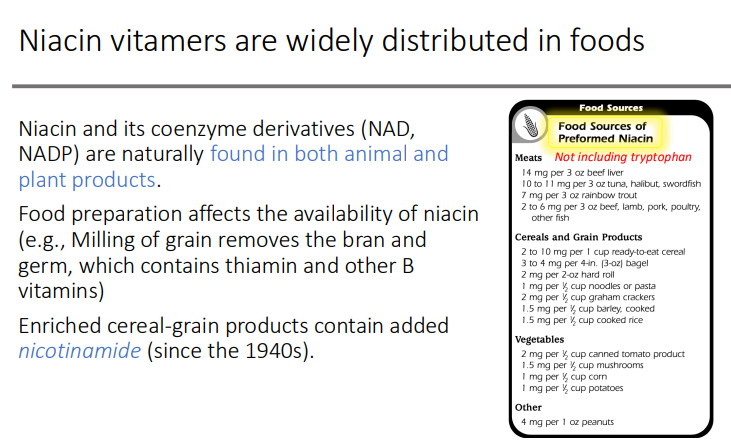 <ol><li><p>milling of grain removes the bran and germ, which contains thiamin and other B vitamins</p></li><li><p>nicotinamide</p></li></ol><p></p>