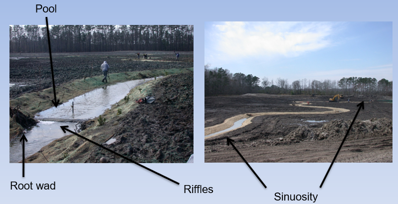 <ul><li><p><span>Stabilizing the stream bank with turf mats and root clusters</span></p></li><li><p><span>Root wads for habitat and erosion control</span></p></li><li><p style="text-align: left;"><span>Pool - deeper area of water</span></p></li><li><p style="text-align: left;"><span>Riffle - area where water flow is turbulent and water becomes oxygenated</span></p></li><li><p style="text-align: left;"><span>Sinuosity- meandering or snaking of stream</span></p></li><li><p style="text-align: left;"><span>Root wads in the stream provide stream bank stability and aquatic habitat</span></p></li></ul><p></p>