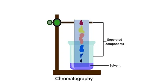 <p>Chromatography</p>