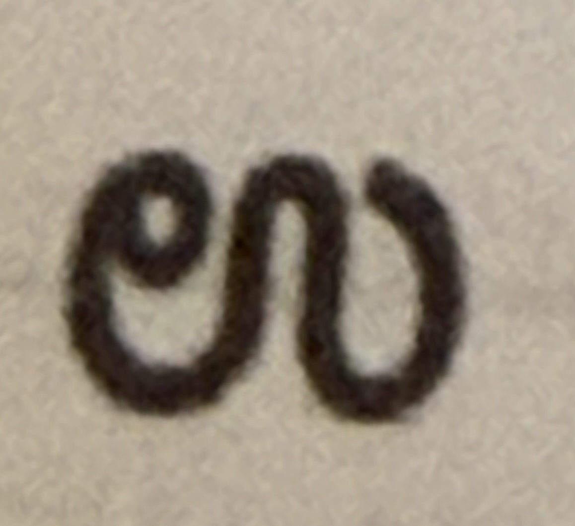 term image