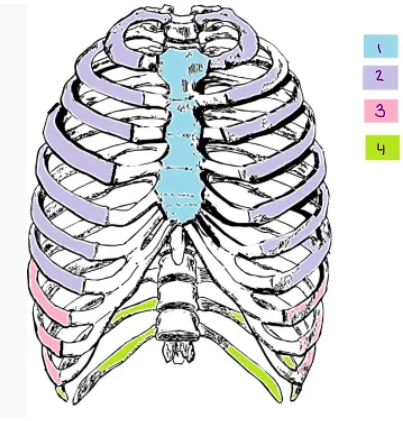 <p>What is number 4?</p>