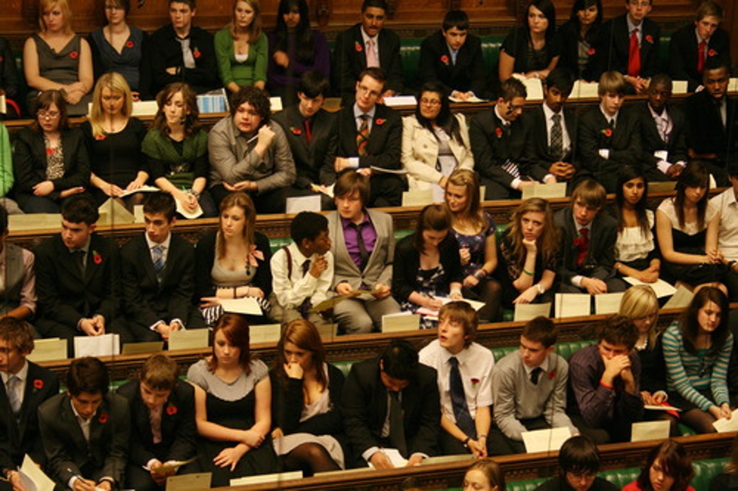 <p>A legislator with little influence, usually sitting in the back rows of a legislative chamber.</p>