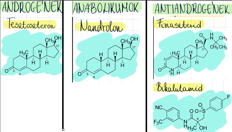 <p>tesztoszteron <br>nandrolon (Retabolil) <br>finaszterid (Prosterid) <br>bikalutamid (Bilutamid)</p>