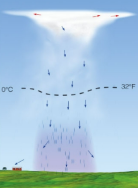 <p>what stage of the air-mass / single-cell thunderstorm is this?</p>