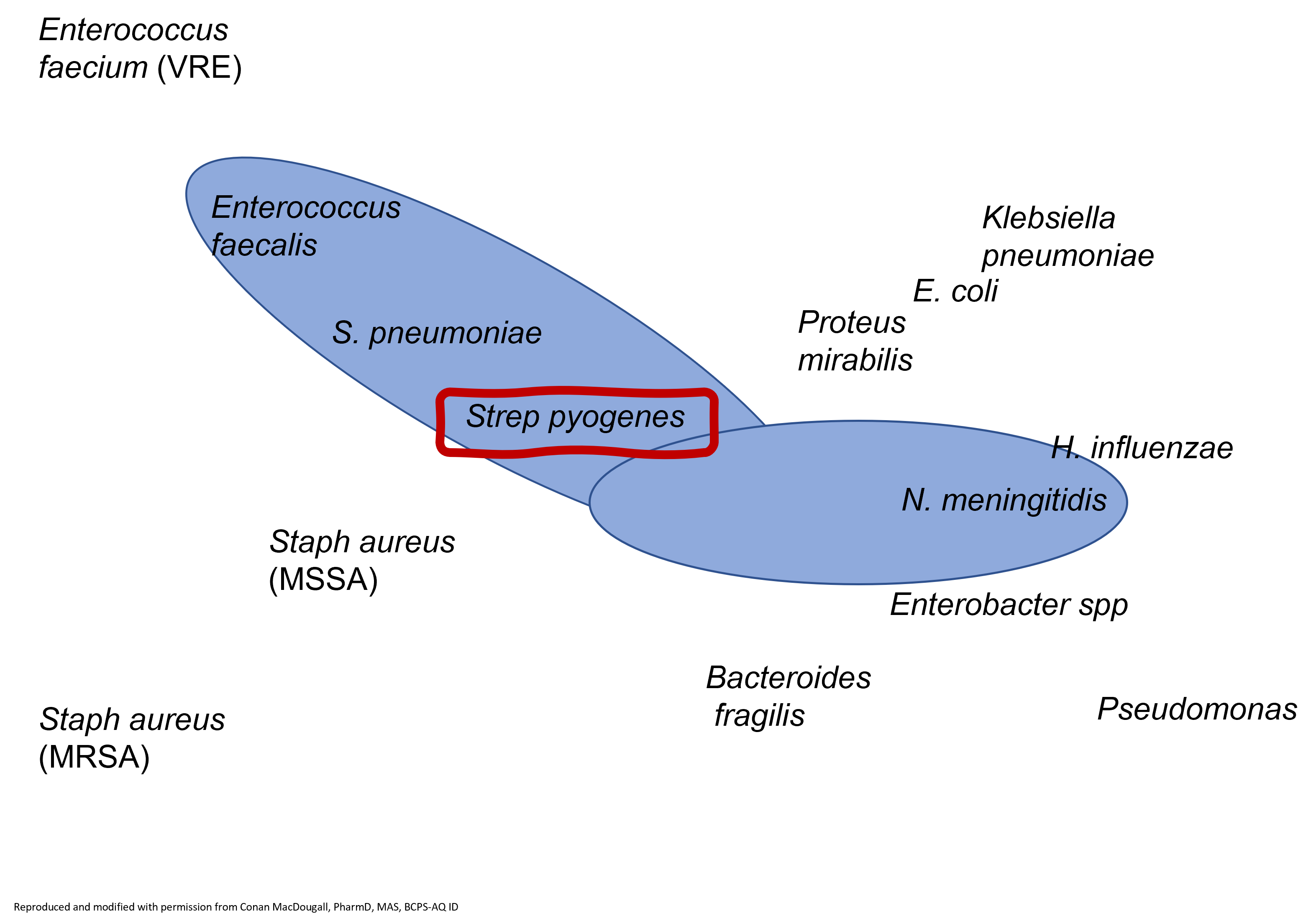 <p>name of the drug</p>