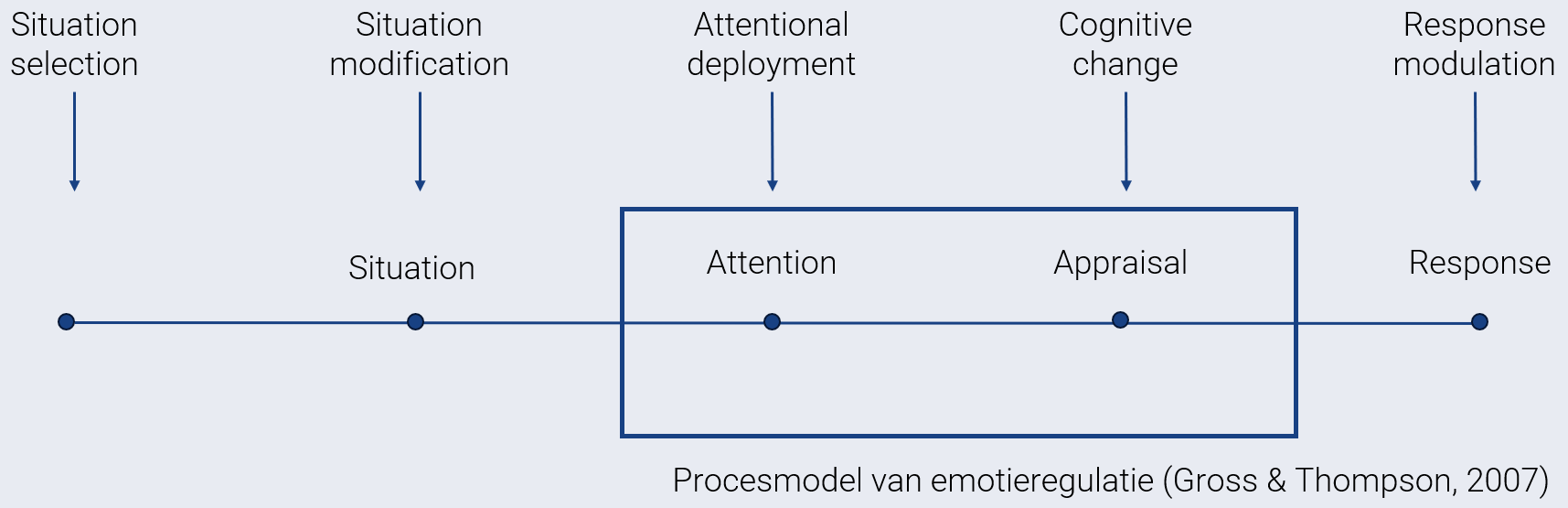 <p>Situatieselectie</p><ul><li><p><em>vb. kiezen om niet naar drukke festivals te gaan bij sociale angst</em></p></li></ul><p>Situatiemodificatie</p><ul><li><p>situatie veranderen</p></li></ul><p>Attentional deployment</p><ul><li><p>aandacht op iets anders, afleiding</p></li></ul><p>Cognitive change</p><ul><li><p>andere interpretatie</p></li></ul><p>Response modulatie</p>