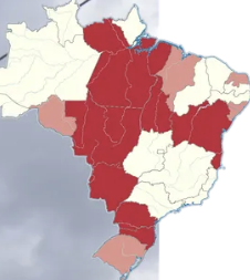 <p>|-</p>