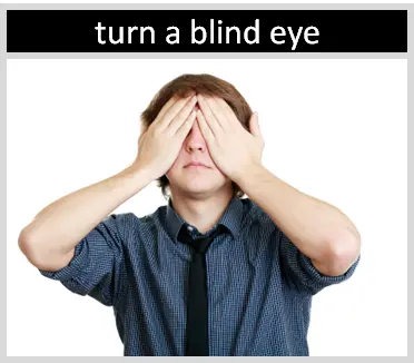 <p>To turn a blind eye to something</p>