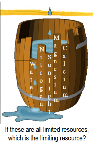 <p>most limited resource = limiting resource</p><p>limiting resource ultimately determines population growth rate</p><p>(idea “developed” by Justus von Liebig, but thought of by Karl Sprengel before that)</p>
