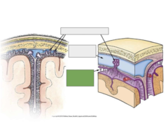 <p>This is the</p>
