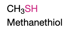 <p></p><p><strong>Thiol</strong></p><p>Name Ending: -thiol</p>