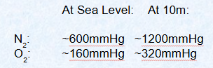 <p>pressure will increase </p><p><span style="background-color: transparent;">amount of each gas dissolved in the blood will increase</span></p><p><span style="background-color: transparent;">nitrogen toxicity </span></p>