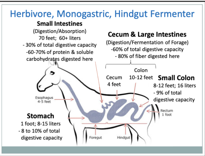 <p>know this slide</p>