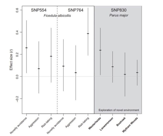 <ul><li><p>a small-medium effect size is shown for the studied behavioral traits in flycatchers</p></li><li><p>the parus major, the relationship between DRD4 polymorphism and exploration behavior varies by location</p><ul><li><p>exploration inverse of novelty avoidance</p></li><li><p>correlated to risk-taking and aggression</p></li></ul></li><li><p>effect sizes in the parus major study overlap with the flycatcher study</p></li></ul><p></p>