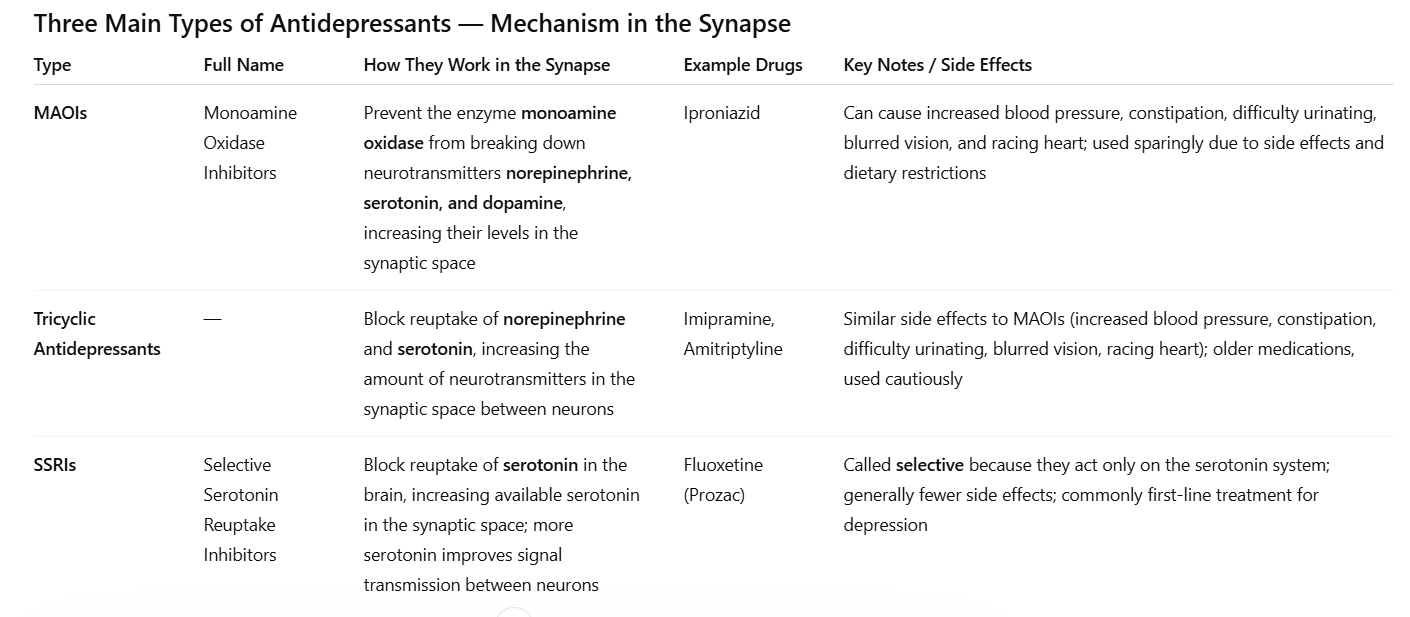 <ul><li><p>MAOIs - inhibit breakdown of norepinephrine, serotonin, and dopamine</p></li><li><p>Tricyclic antidepressants - block reuptake of serotonin and norepinephrine</p></li><li><p>SSRIs - block reuptake of serotonin</p></li></ul><p></p>