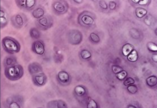 <p>what is this </p>