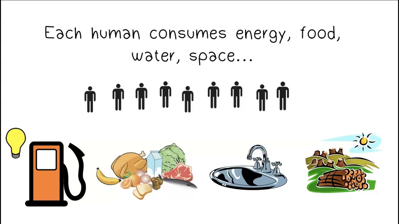 <p>Consumption</p>