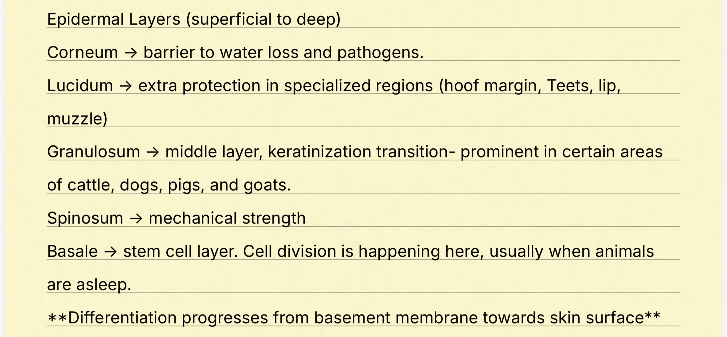 knowt flashcard image