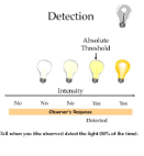 <p>Absolute Threshold </p>