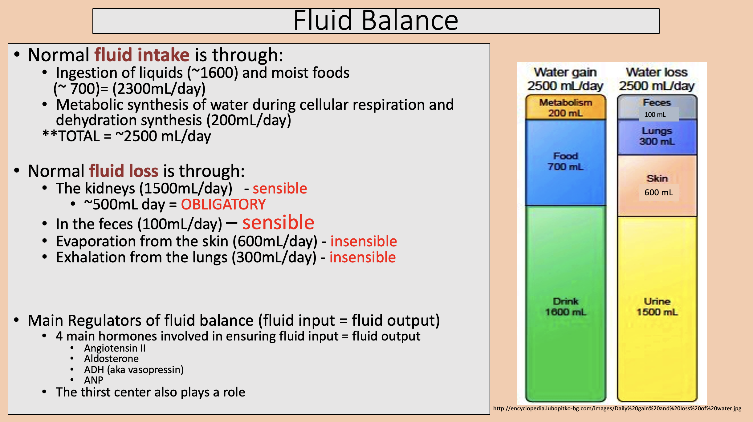 <p><span style="color: rgb(153, 47, 47);">fluid intake </span></p>