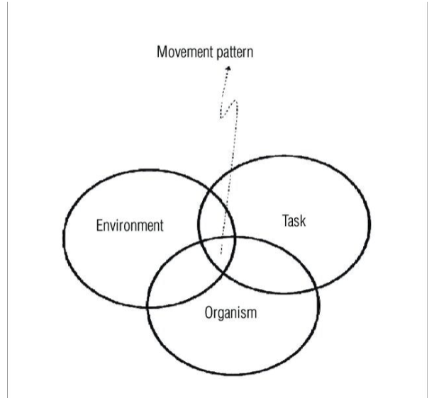 <p><span>Movement to guides our clinical reasoning<br></span><span data-name="black_small_square" data-type="emoji">▪</span><span> <strong>Task:</strong> what is the goal of the movement (stand up)<br></span><span data-name="black_small_square" data-type="emoji">▪</span><span> <strong>Environment: </strong>conditions of the task<strong><br></strong></span><strong><span data-name="black_small_square" data-type="emoji">▪</span></strong><span><strong> Organism:</strong> the human condition</span></p>