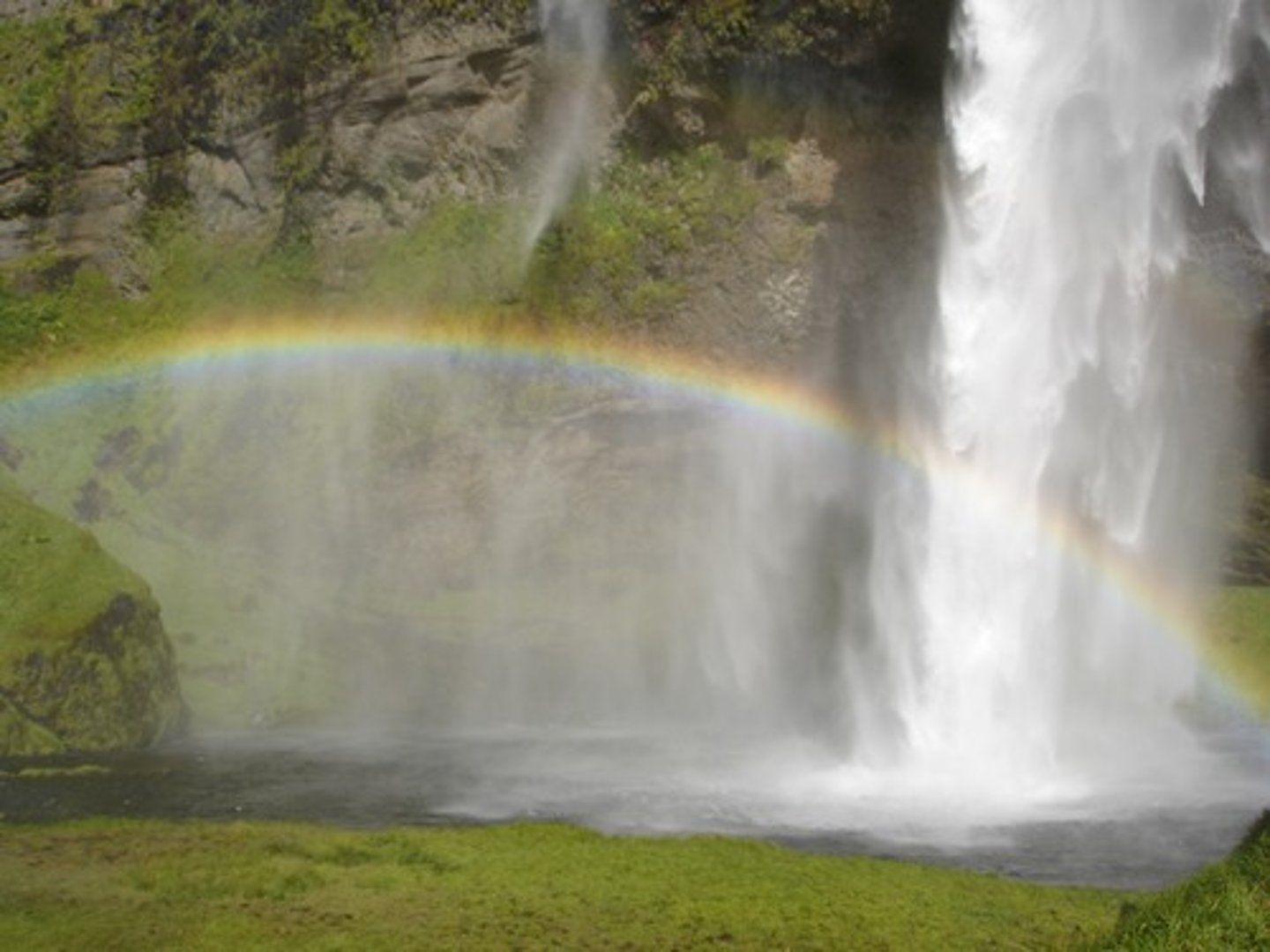 <p>TRANSLATION: странное явление</p><p>DEFINITION: an event or situation that is unusual and difficult to explain</p><p>EXAMPLE: Scientists observed a ........................ when the liquid changed color without any obvious reason. Учёные наблюдали СТРАННОЕ ЯВЛЕНИЕ, когда жидкость меняла цвет без какой-либо очевидной причины.</p>