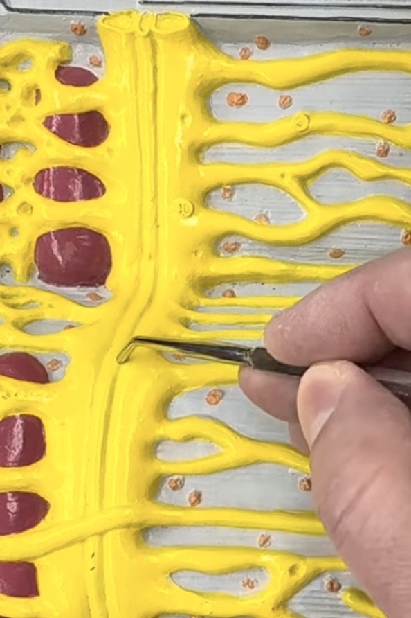 knowt flashcard image