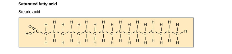 <p>Saturated Fatty Acid</p>