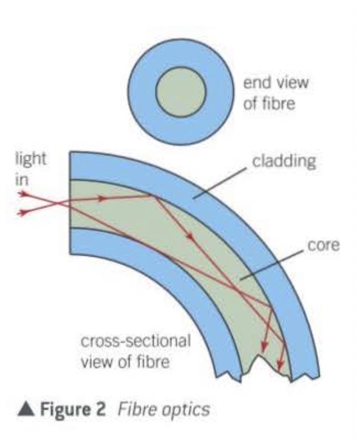 <p>It undergoes total internal reflection each time it reaches the fibre boundary</p>