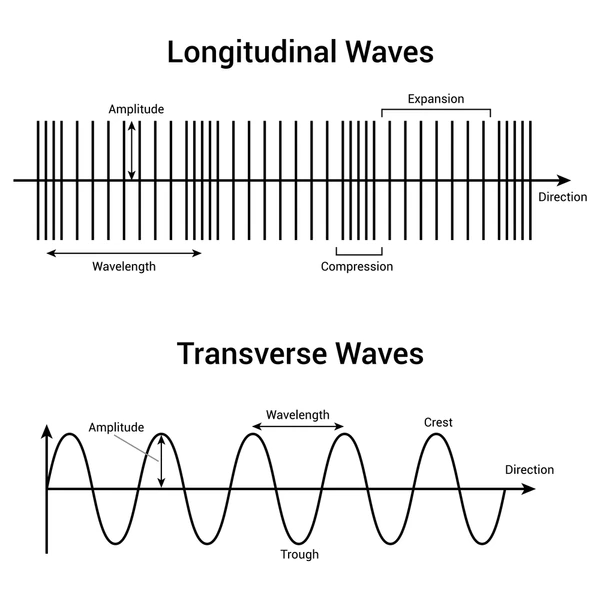 <p><span style="background-color: transparent;">Sound waves always travel in ____________ waves.</span></p>