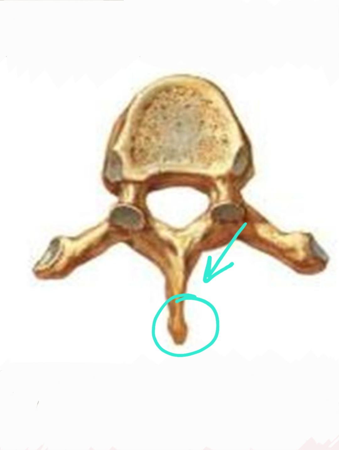 <p>Qual é o nome?</p>