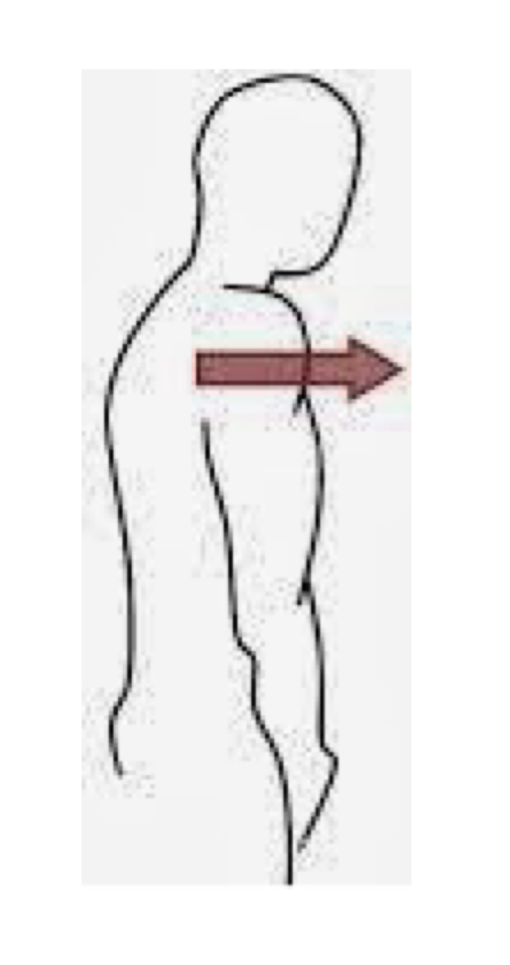 <p>name the muscle action</p>
