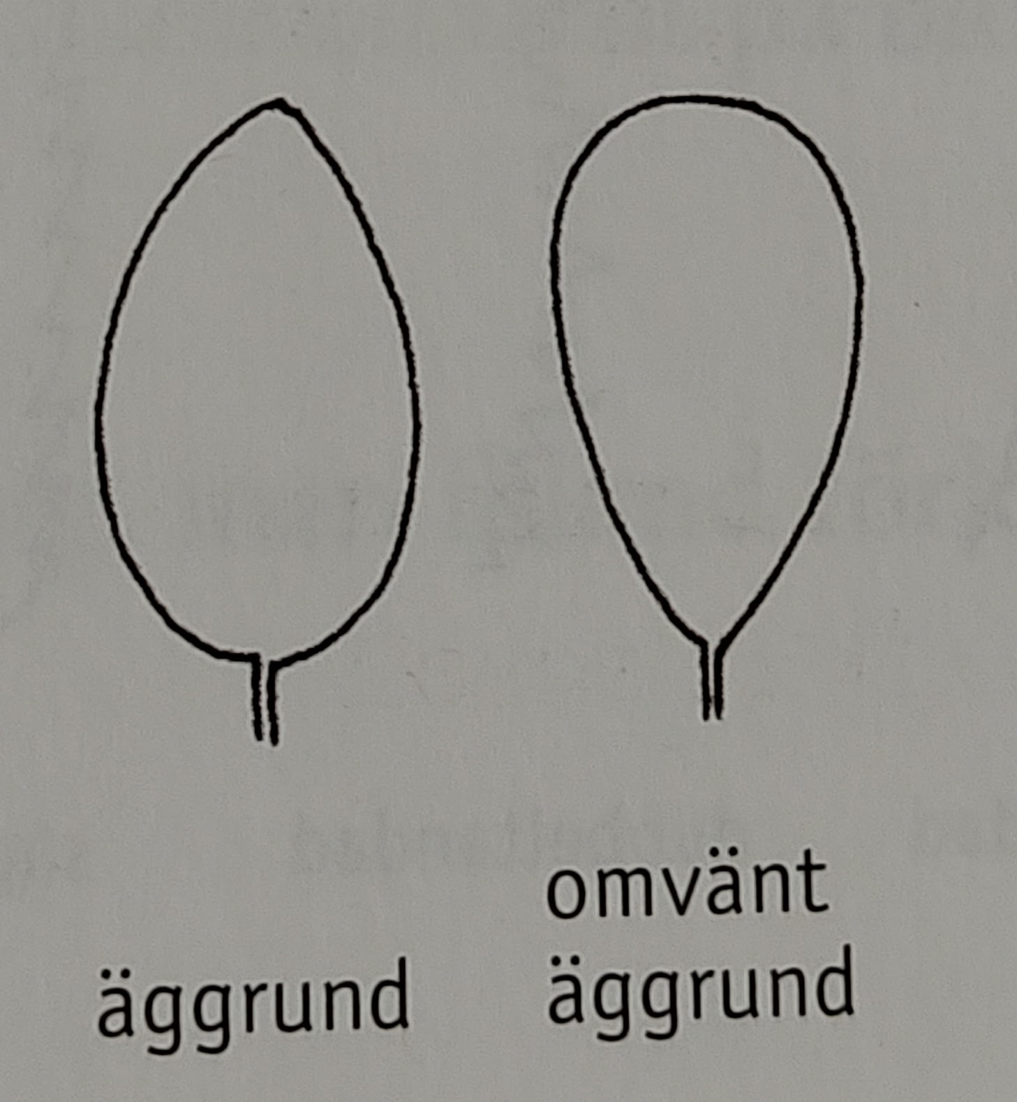 <p></p>