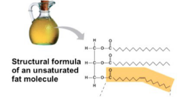 <p><span style="background-color: transparent; font-family: "Times New Roman", serif;">Unsaturated fats</span></p><p></p>