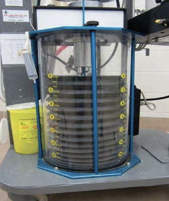 <p>what type of bellow is shown?</p>