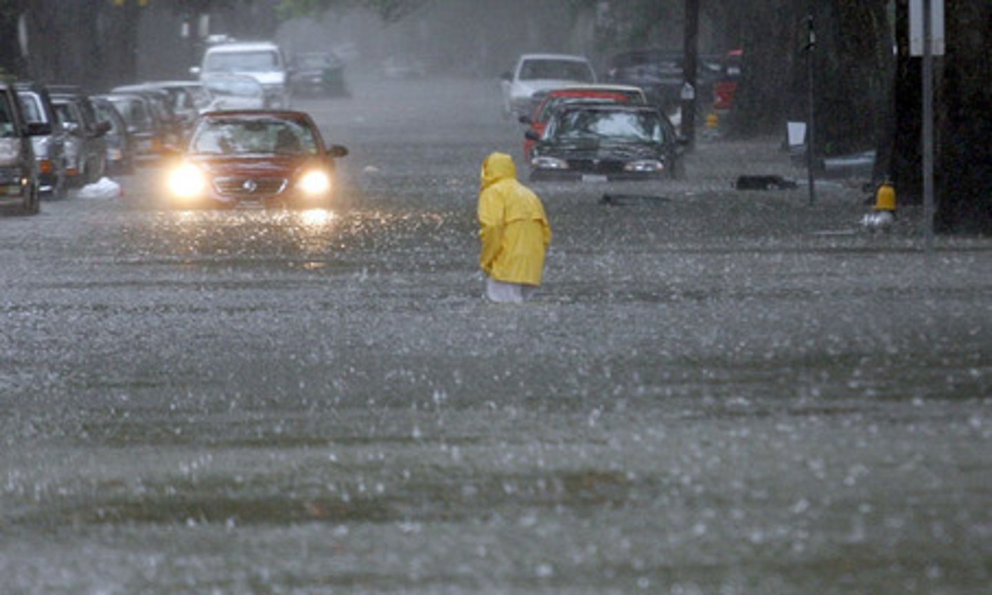 <p>flood</p>