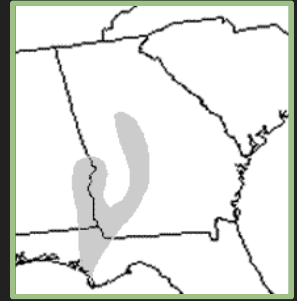 <p>Gulf coastal plain</p><p>Chattahoochee, Flint, and Chipola rivers rich in mollusks </p><p>Clear flowing rivers with limestone rock in coastal plains; granite bottom streams towards piedmont </p><p>Many fallen trees! </p>