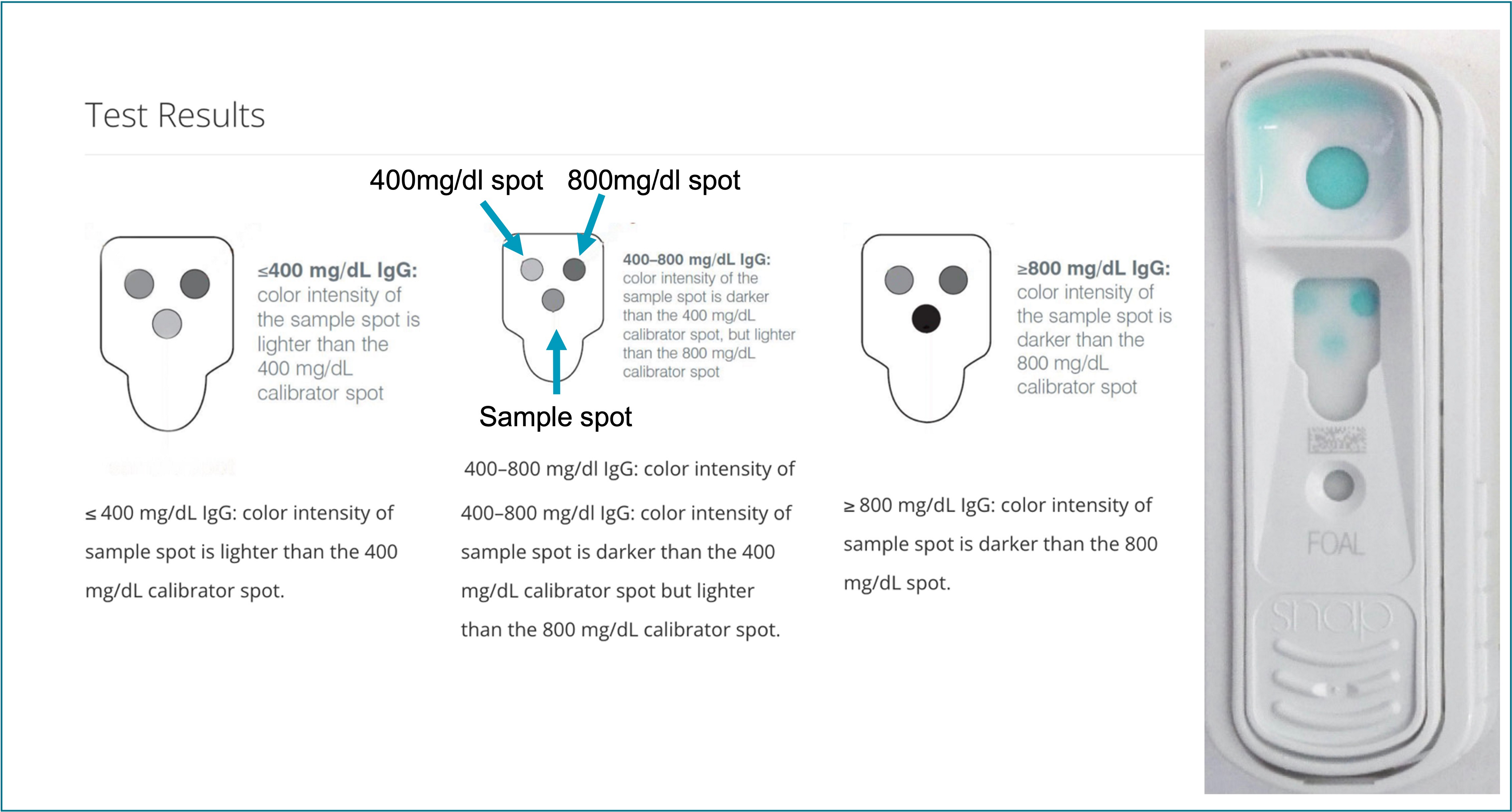<p>You have also run a foal IgG SNAP test which is a stall side test to measure immunoglobulin concentrations in the foal’s blood.</p><p>Using the image presented here, for which Fidget's result is on the right hand side. Interpret the results.</p>