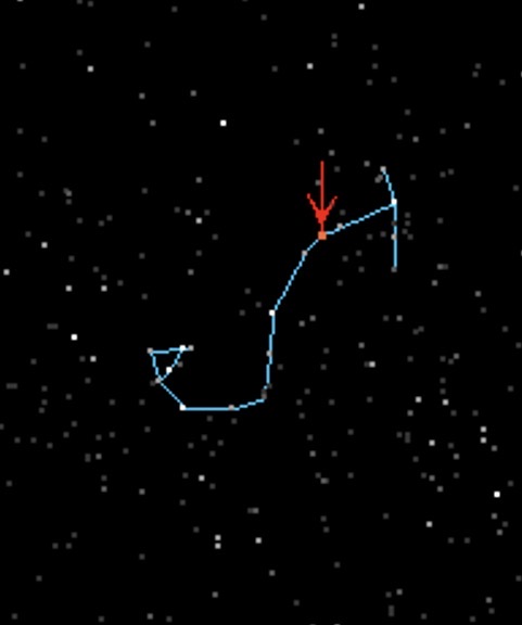 term image