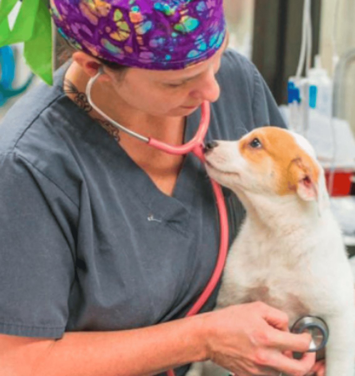 <p>TRANSLATION: ветеринарная помощь</p><p>DEFINITION: medical treatment for animals provided by a doctor</p><p>EXAMPLE: Sick animals at the shelter receive ........................ every day. Больные животные в приюте каждый день получают ВЕТЕРИНАРНУЮ ПОМОЩЬ.</p>
